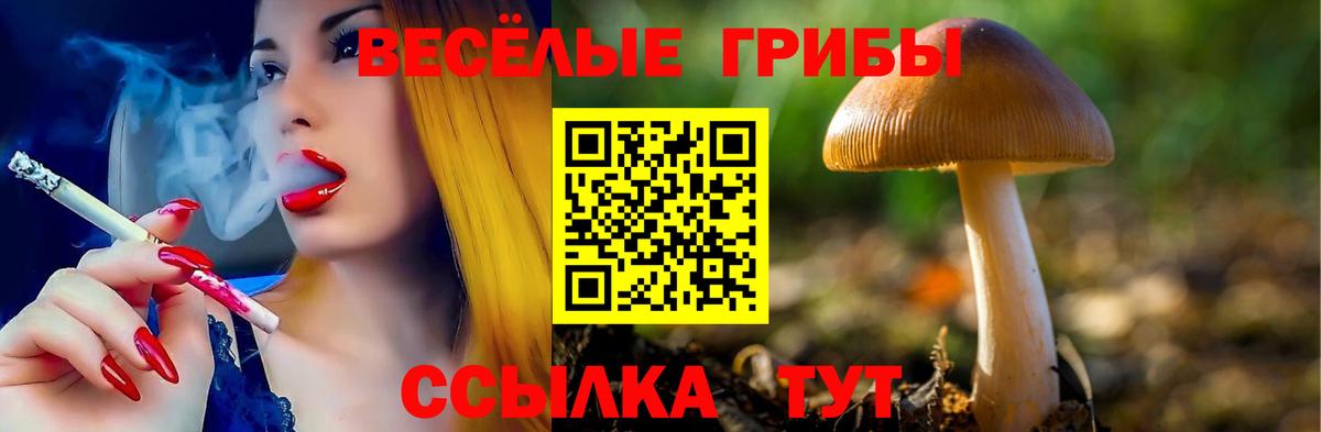 Псилоцибиновые грибы GOLDEN TEACHER Асино