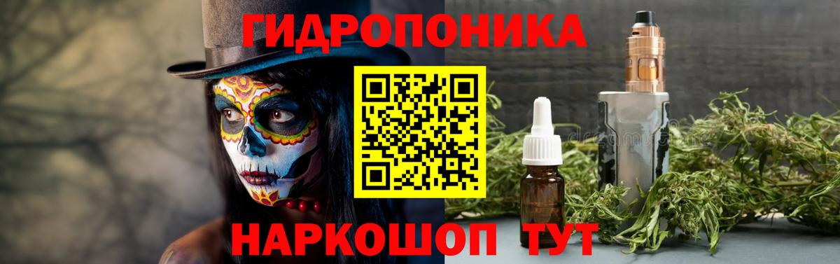Шишки марихуана Bruce Banner  Вход с VPN  Асино  МАРИХУАНА Bruce Banner  Канабис THC 21%  Марихуана план 