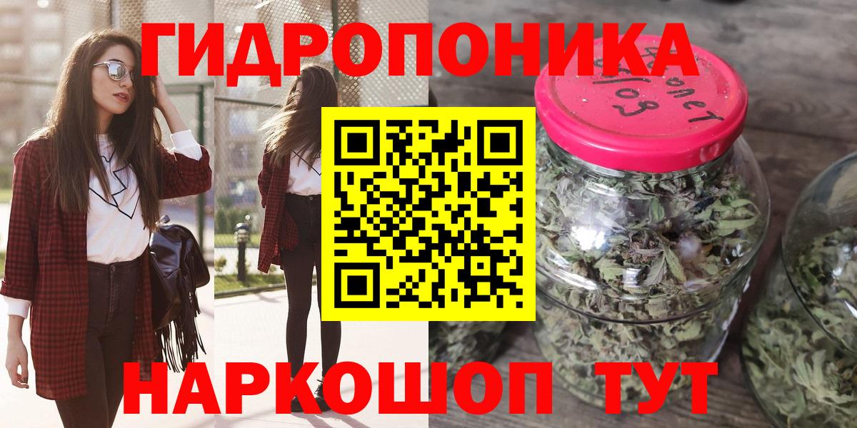 Канабис семена Асино